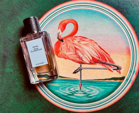 prada flamingo perfume|pink flamingos prada perfume.